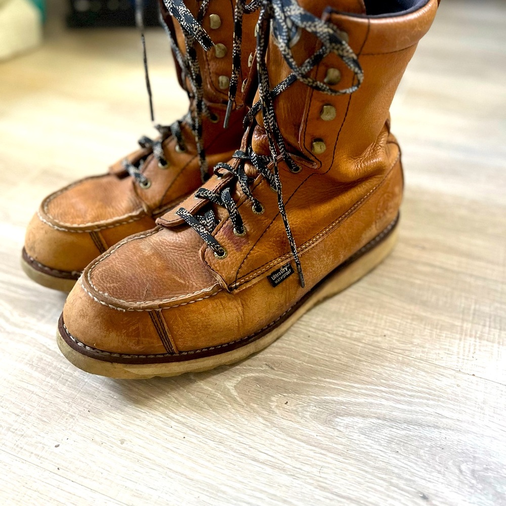 SZ 14 Irish Setters